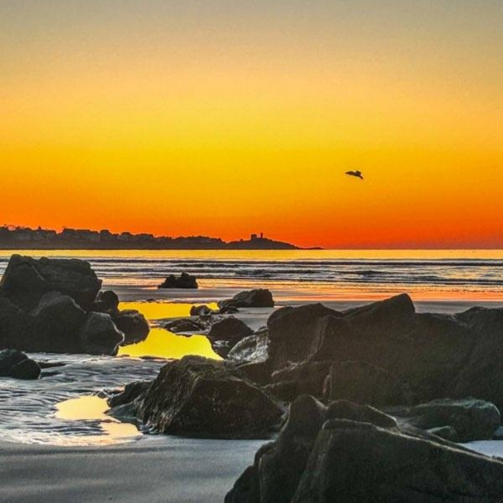 Meet your Posher, Zandy - Picture 11 of 16